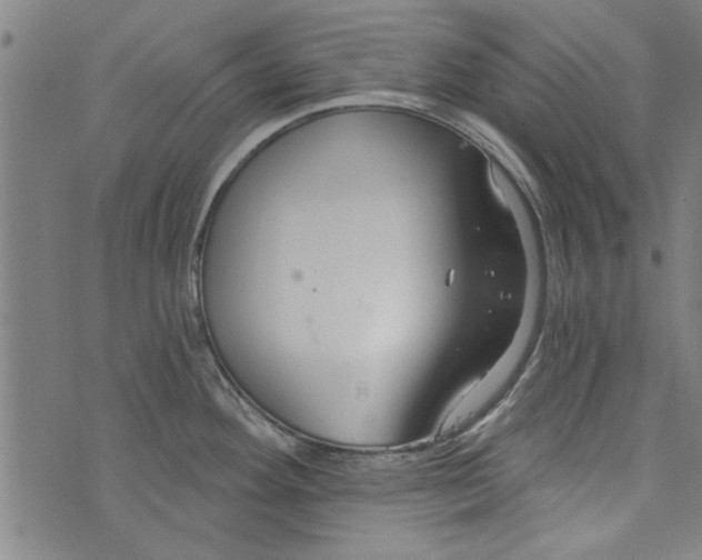 X0000073991292200609111524