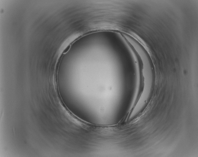 X0000073991293200609111523