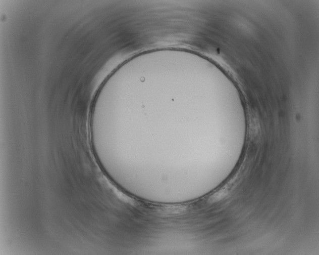 X0000073991294200609111523