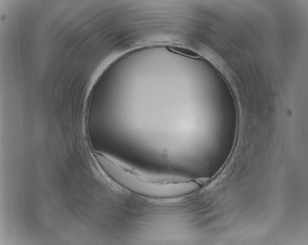 X0000073991296200609111523