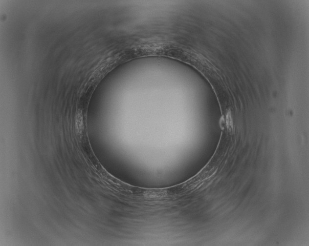 X0000073991299200609111523