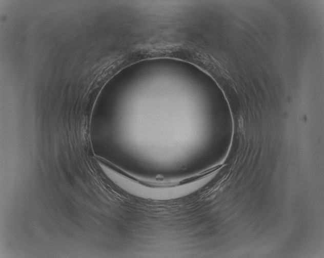 X0000073991300200609111523