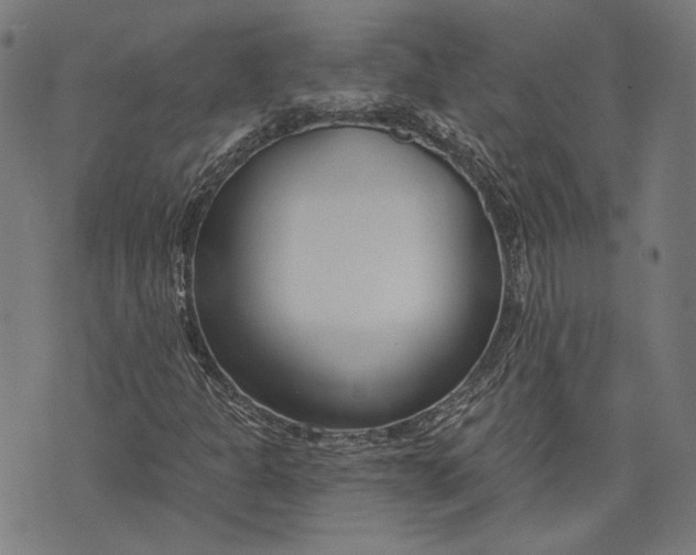 X0000073991301200609111523