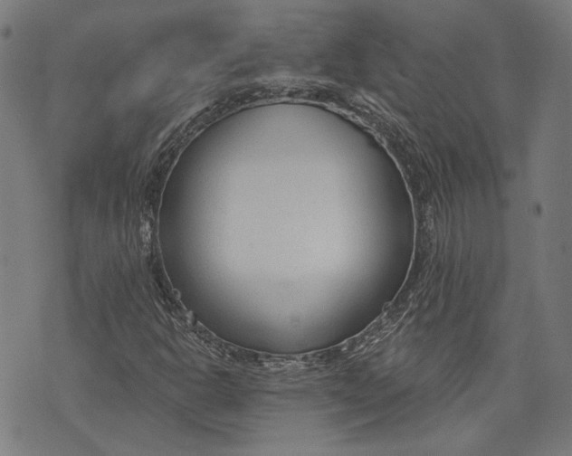 X0000073991302200609111523