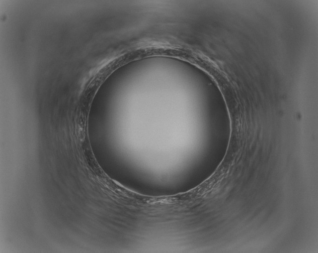 X0000073991303200609111523