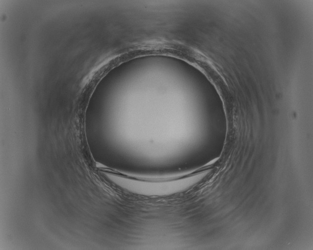 X0000073991304200609111523