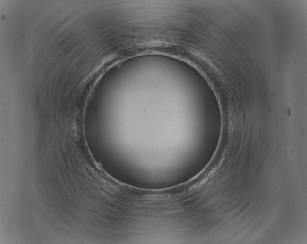 X0000073991305200609111523