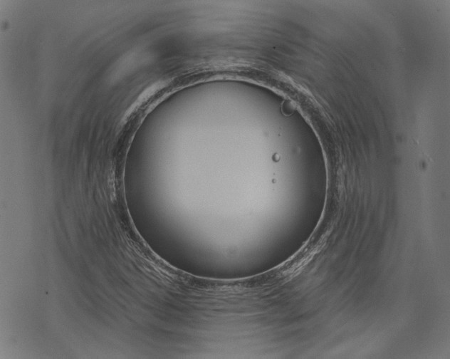 X0000073991306200609111523