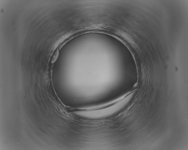 X0000073991308200609111523