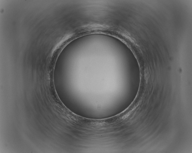 X0000073991309200609111523