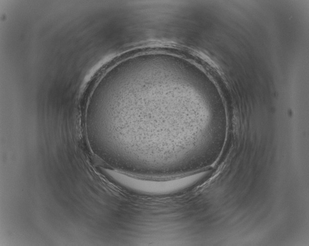 X0000073991310200609111523