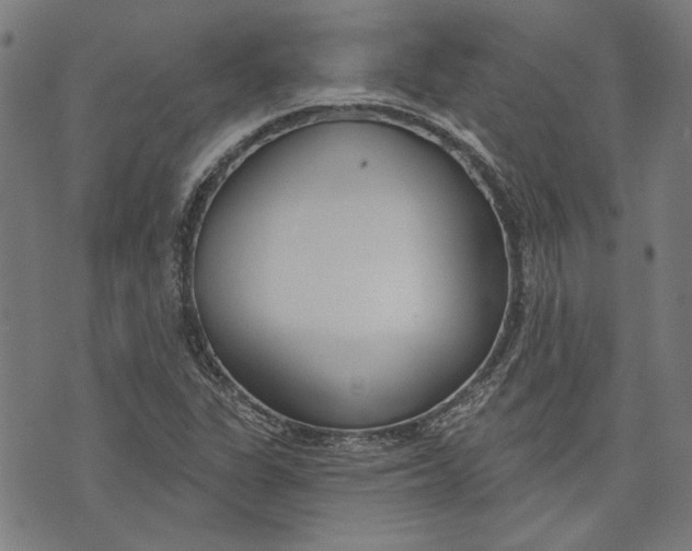 X0000073991311200609111523