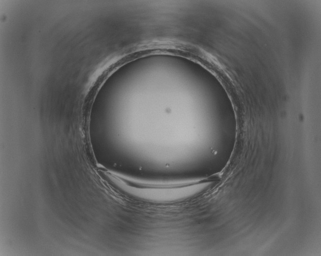 X0000073991312200609111523