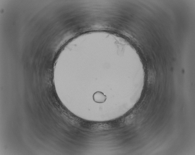 X0000073991314200609111523