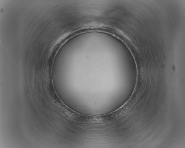 X0000073991315200609111523