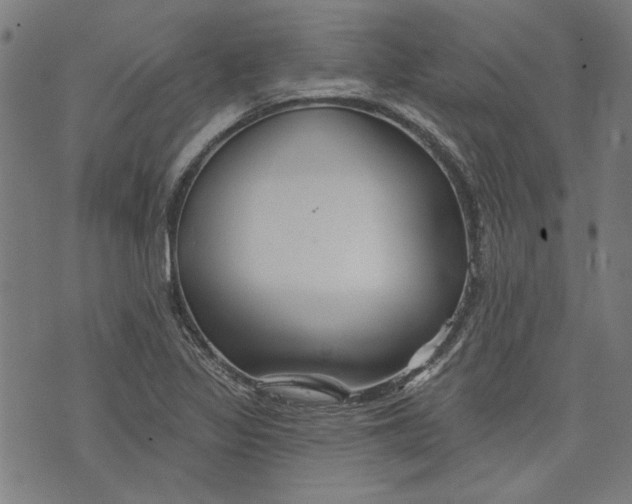 X0000073991317200609111523