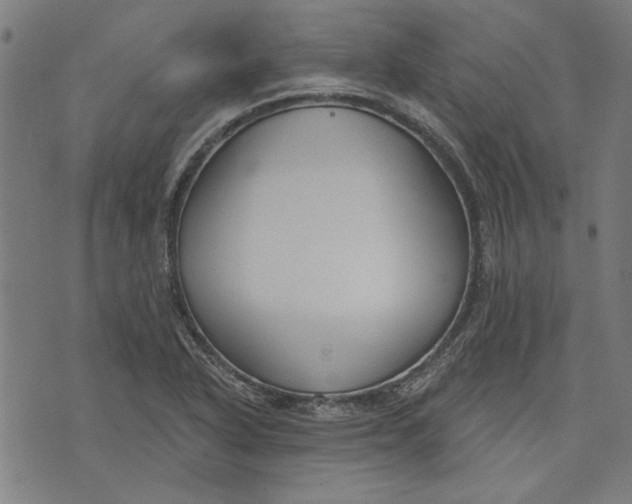 X0000073991318200609111523