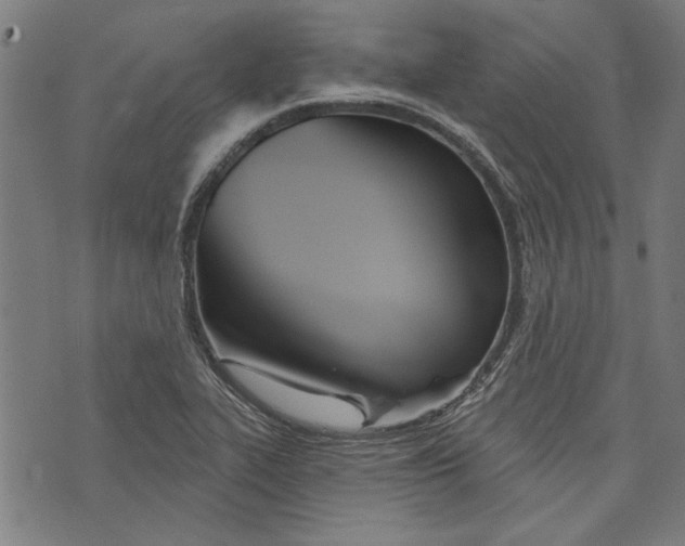 X0000073991319200609111523