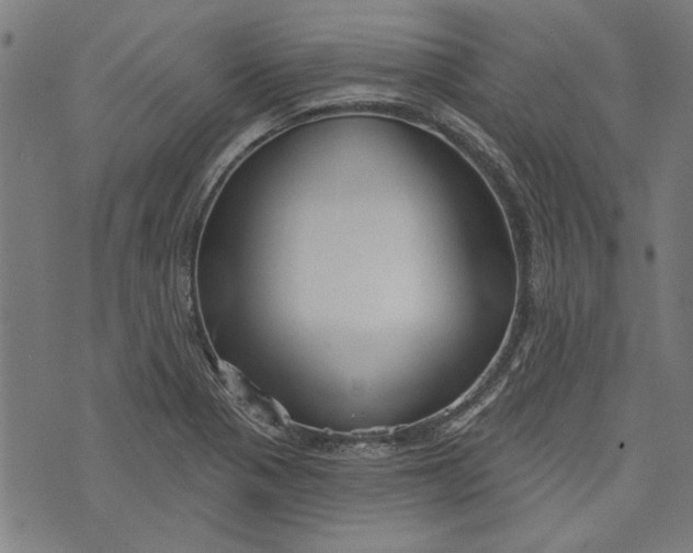 X0000073991321200609111523