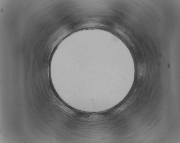 X0000073991322200609111523