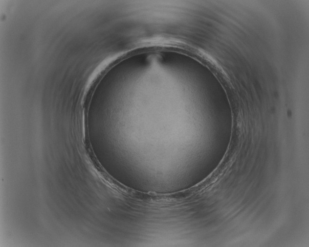 X0000073991323200609111523