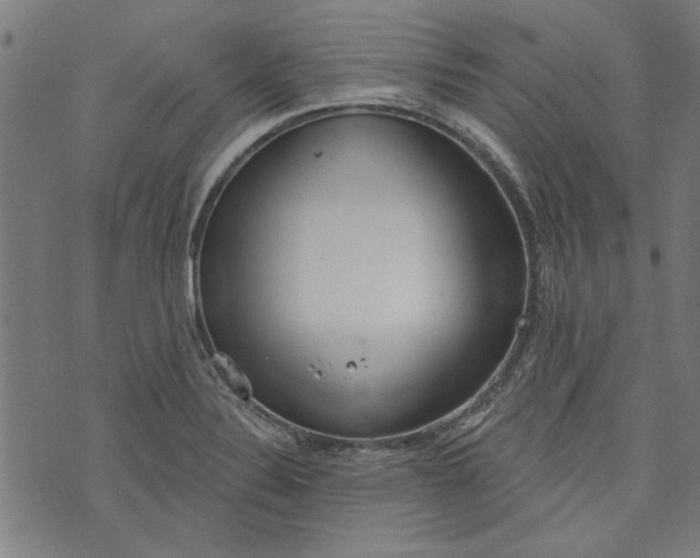 X0000073991324200609111523