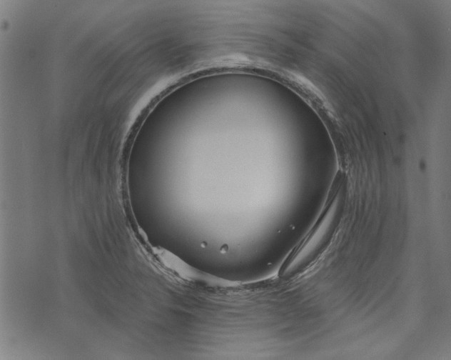 X0000073991326200609111523