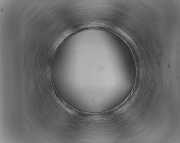 X0000073991329200609111523