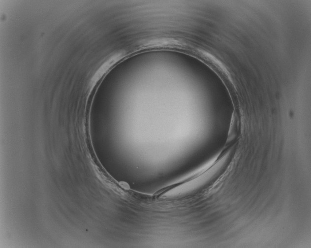 X0000073991330200609111523