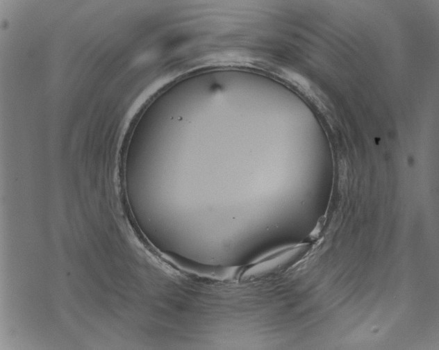 X0000073991331200609111523