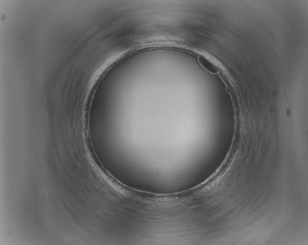 X0000073991333200609111523