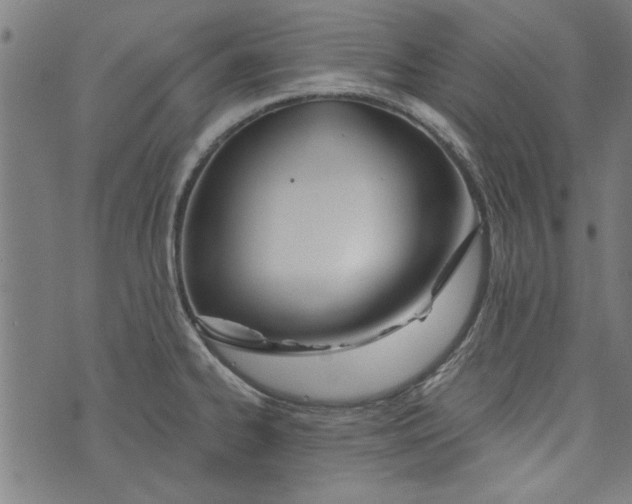 X0000073991334200609111523