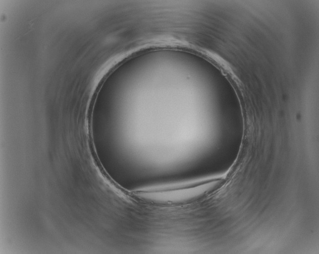 X0000073991335200609111523