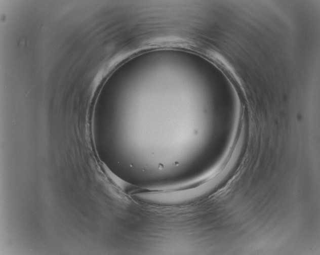 X0000073991336200609111523