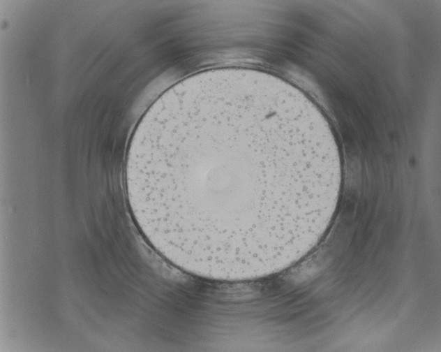 X0000073991338200609111523