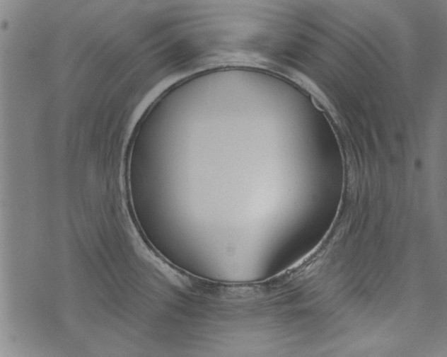 X0000073991339200609111523