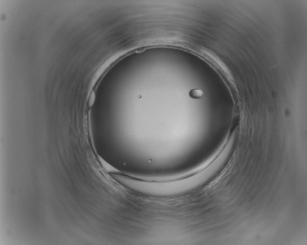 X0000073991340200609111523