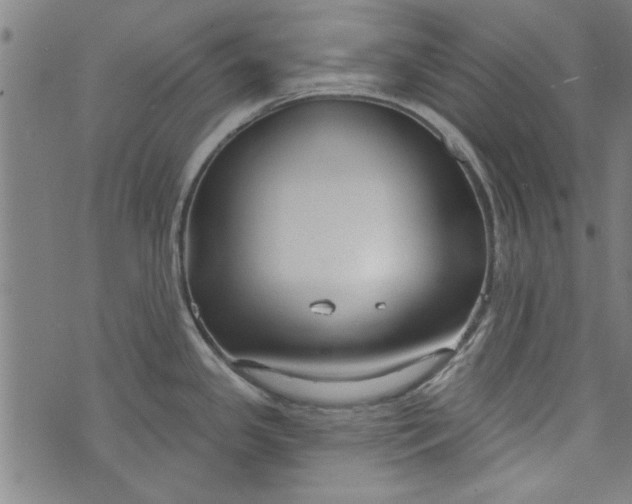 X0000073991341200609111523