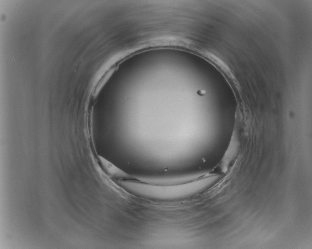 X0000073991342200609111523