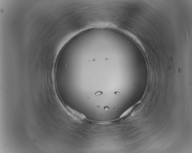 X0000073991343200609111523