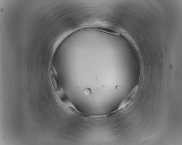 X0000073991344200609111523