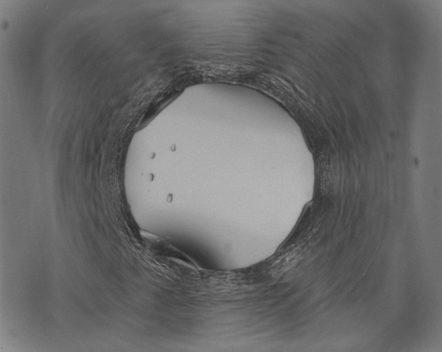 X0000073991345200609111523