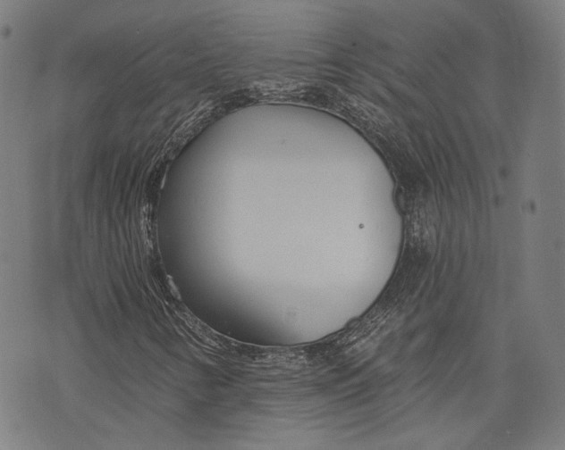 X0000073991346200609111523