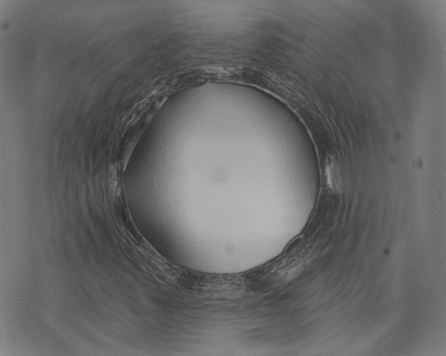 X0000073991347200609111523