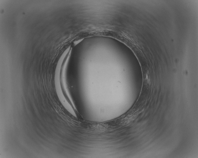 X0000073991348200609111523