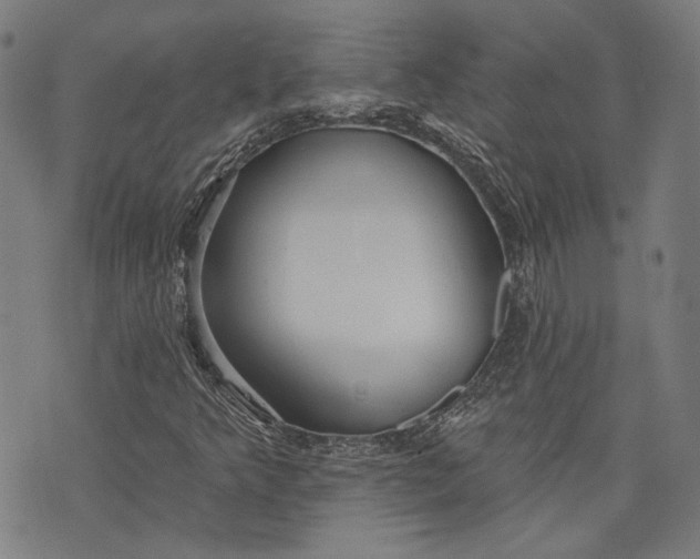 X0000073991349200609111523