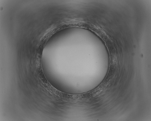 X0000073991350200609111523