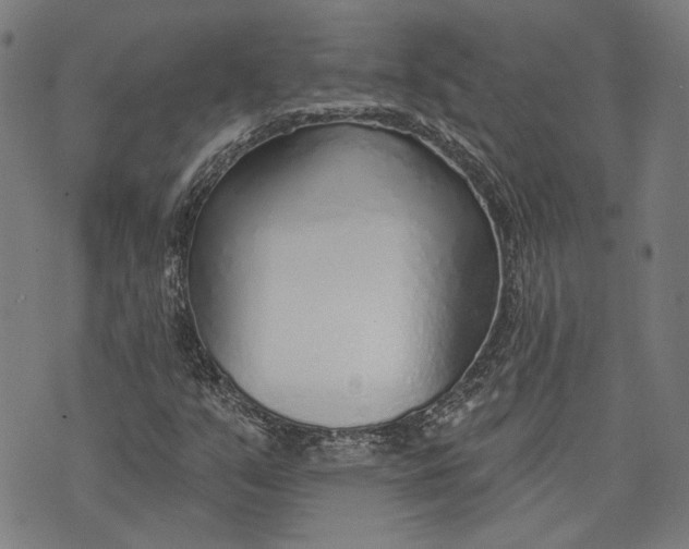 X0000073991351200609111523