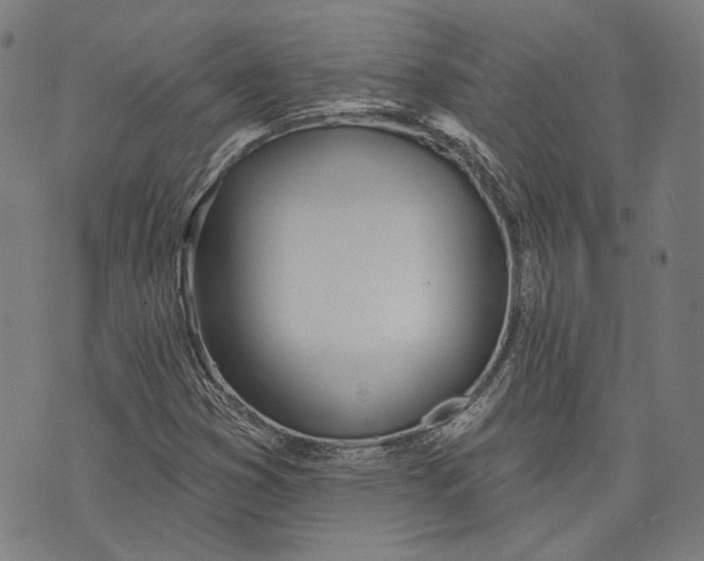 X0000073991353200609111523