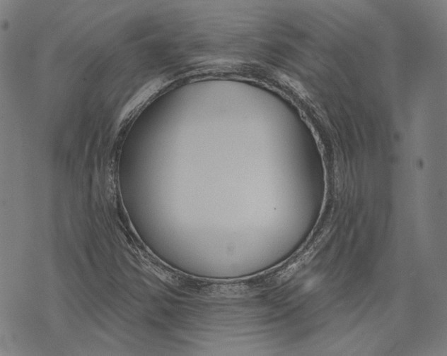 X0000073991354200609111522